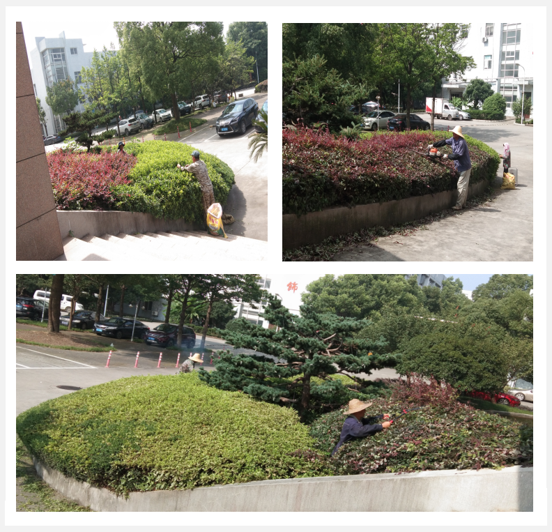美化綠化，我們在行動      
