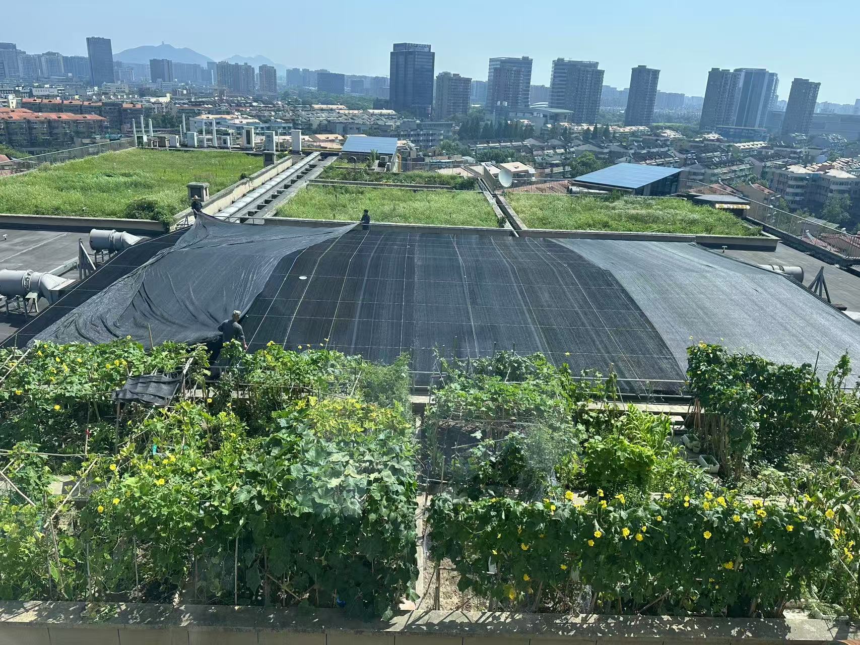 水晶城巧施”遮陽術“，為節能降耗注入清涼動力