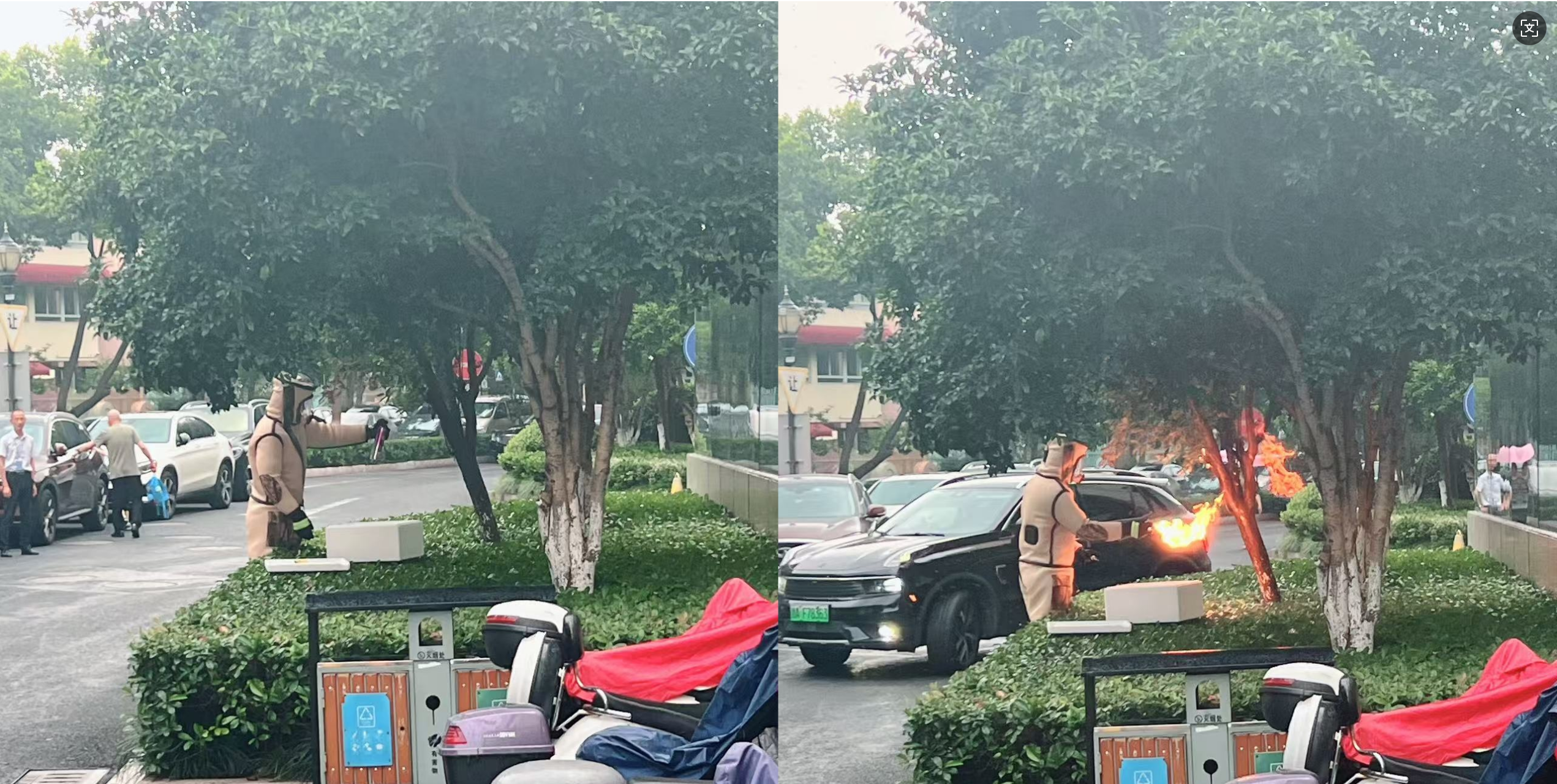 安全守護零距離，水晶城快速處置外圍蜂群隱患